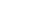 Picto-w5-bridle_web.png