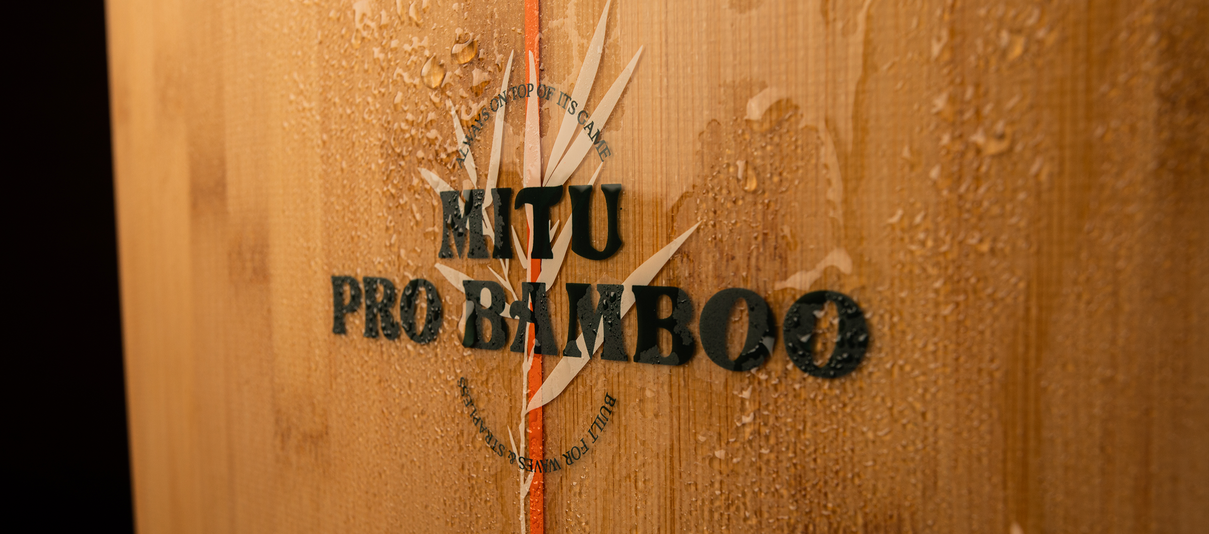 SURBOARDS 2022 - What's new ? 4