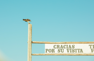 Inside LOS SIETE in Baja 5