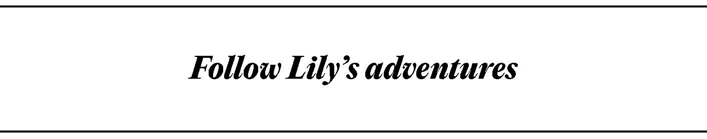 Welcome Lily 3