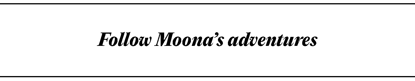 Welcome Moona 3